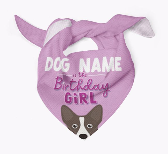 Birthday Girl: Personalised {breedFullName} Bandana